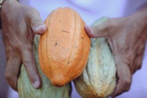 Ceremoniele cacao